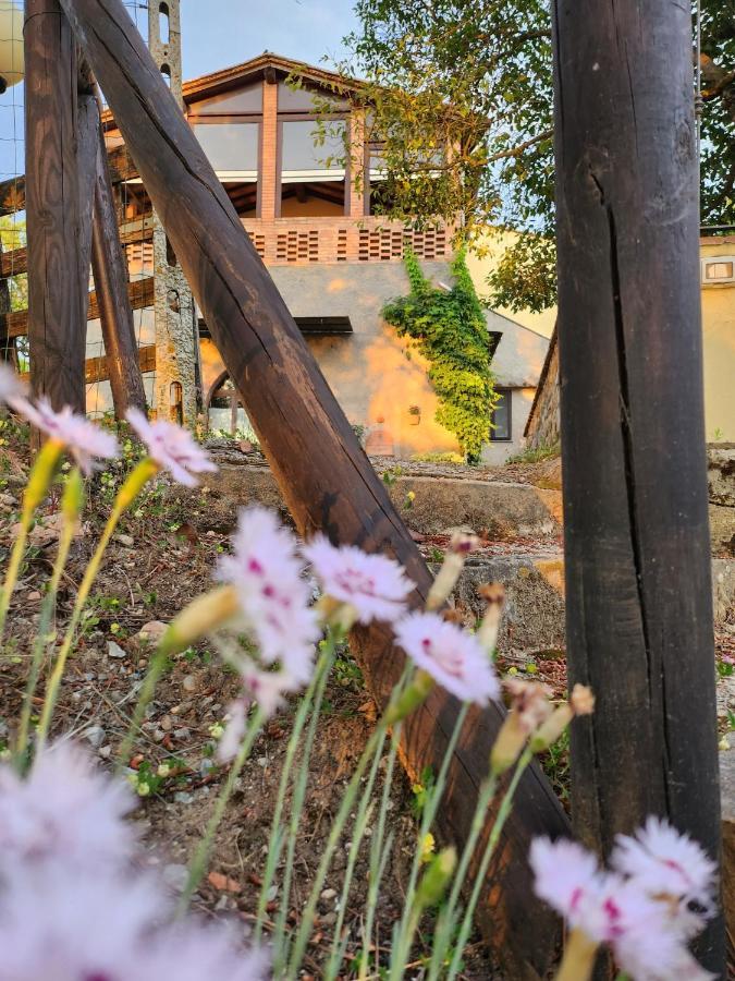 Bed and Breakfast Il Giuggiolo - La Collina Della Quiete Certaldo Zewnętrze zdjęcie