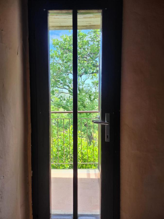 Bed and Breakfast Il Giuggiolo - La Collina Della Quiete Certaldo Zewnętrze zdjęcie