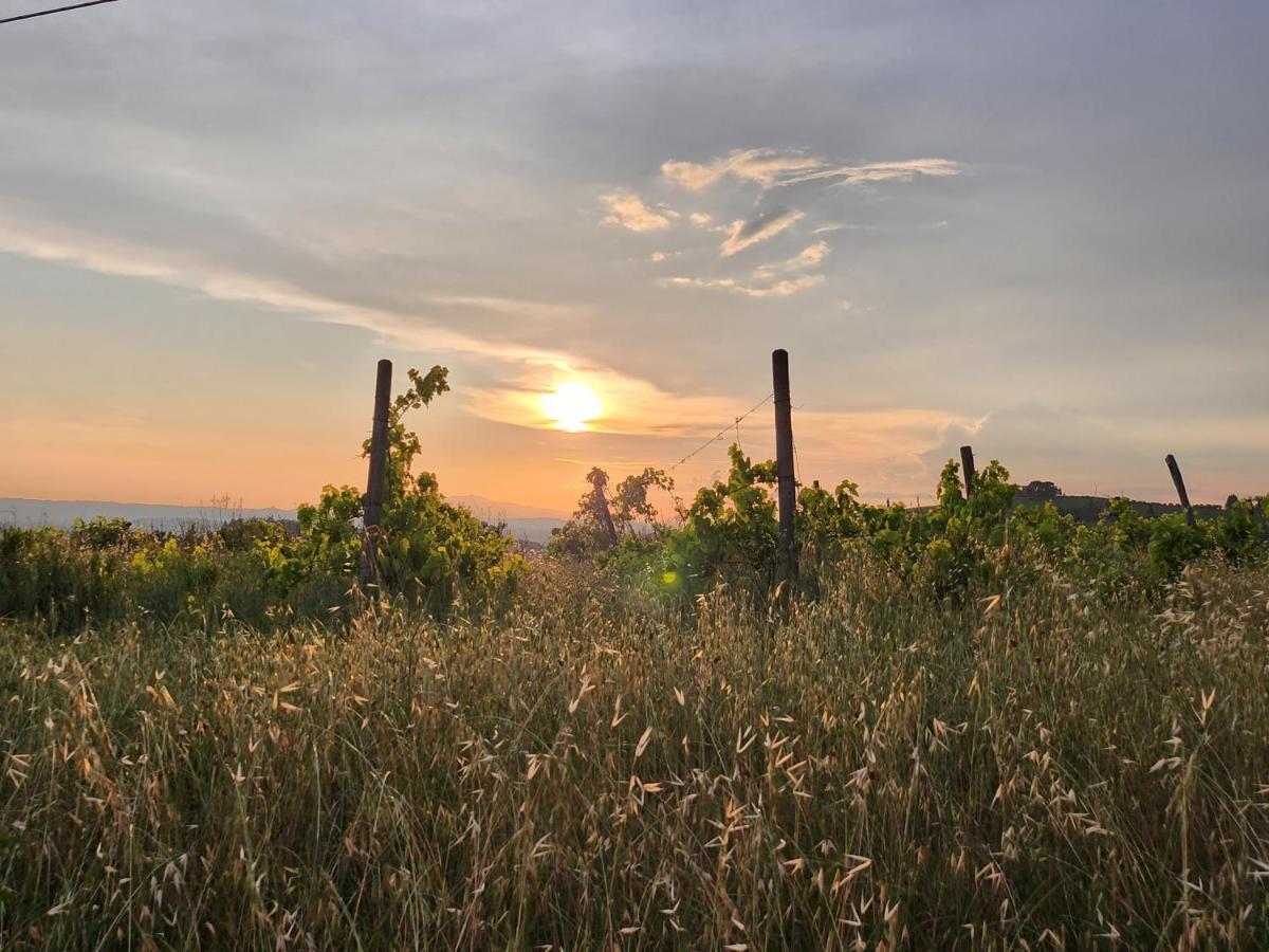 Bed and Breakfast Il Giuggiolo - La Collina Della Quiete Certaldo Zewnętrze zdjęcie